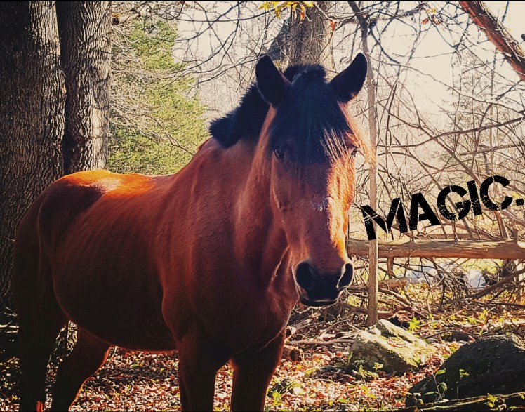 instasize_1102213025