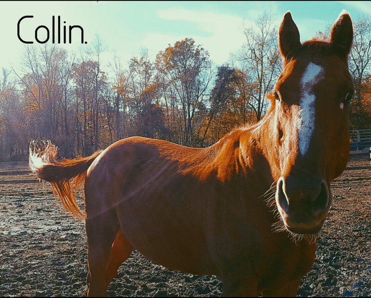 instasize_1102213712