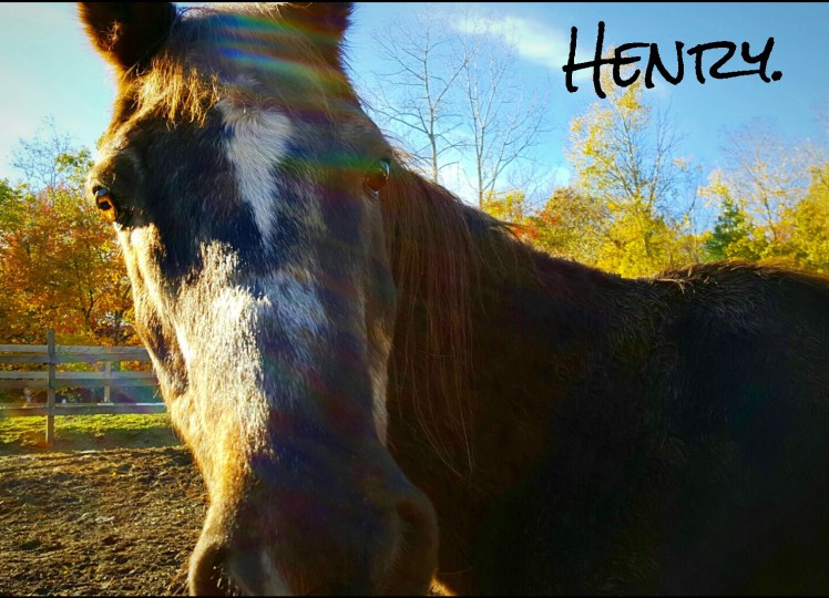 instasize_1102214052