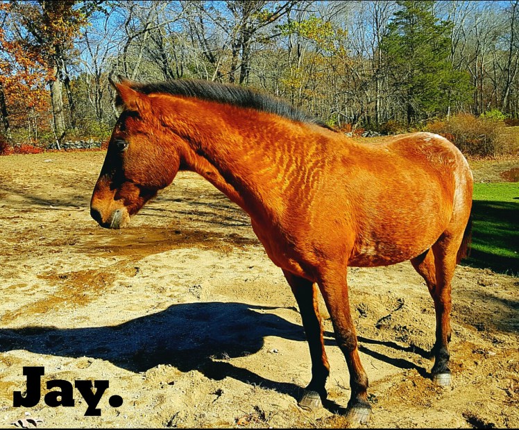 instasize_1102214334