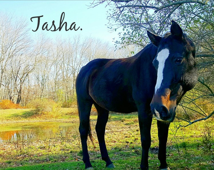 instasize_1102214817