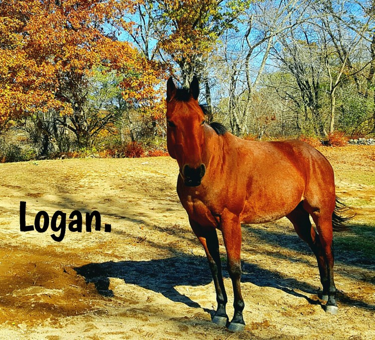 instasize_1102214923