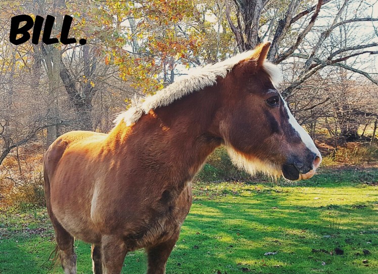 instasize_1102215025