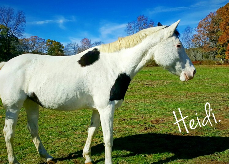 instasize_1102215415