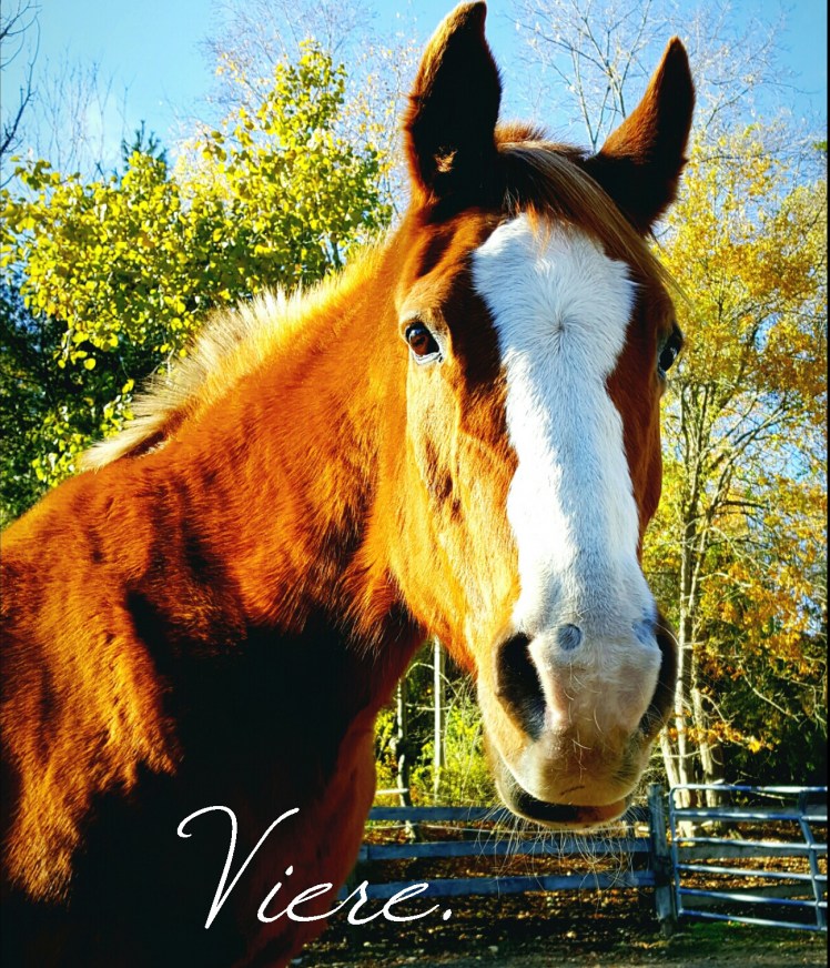 instasize_1102215711