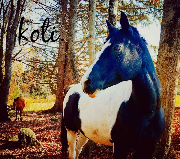 instasize_1102220236