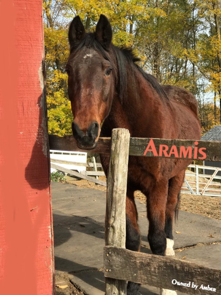 aramis4