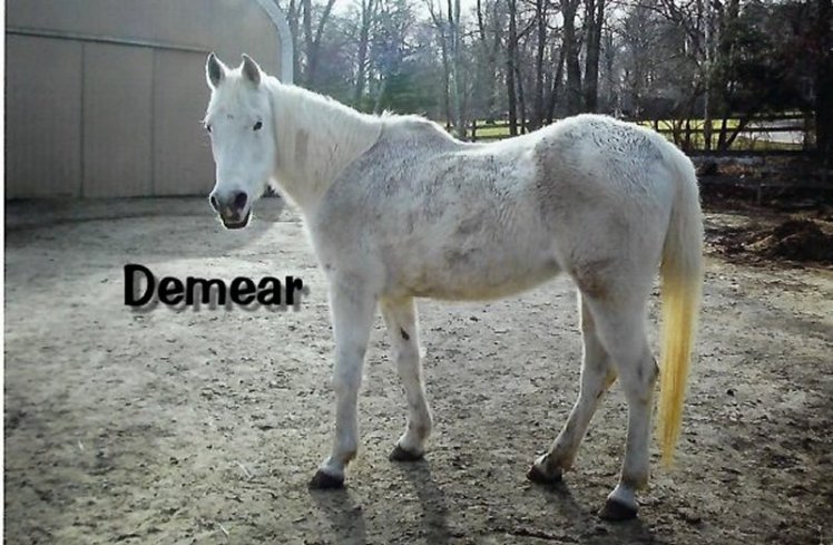 demearsfs1