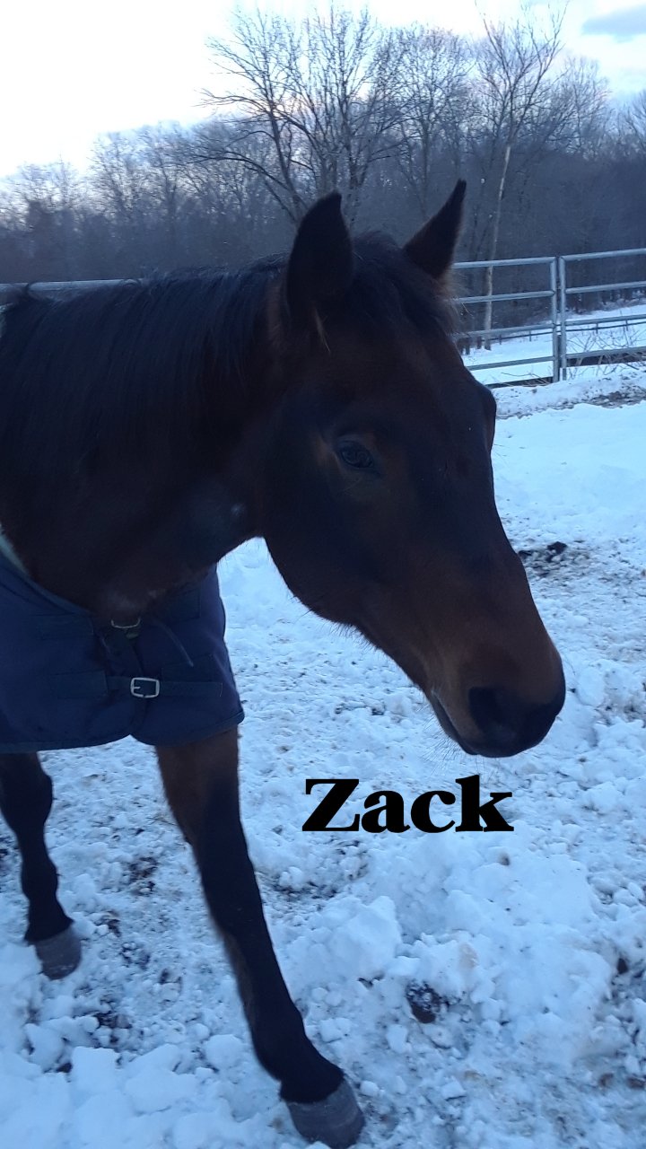 zack